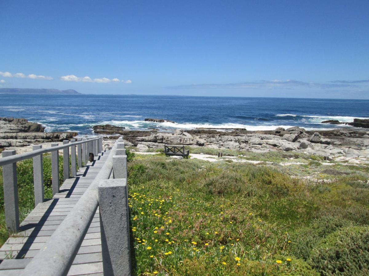 The Potting Shed Self Catering Apartman Hermanus Kültér fotó
