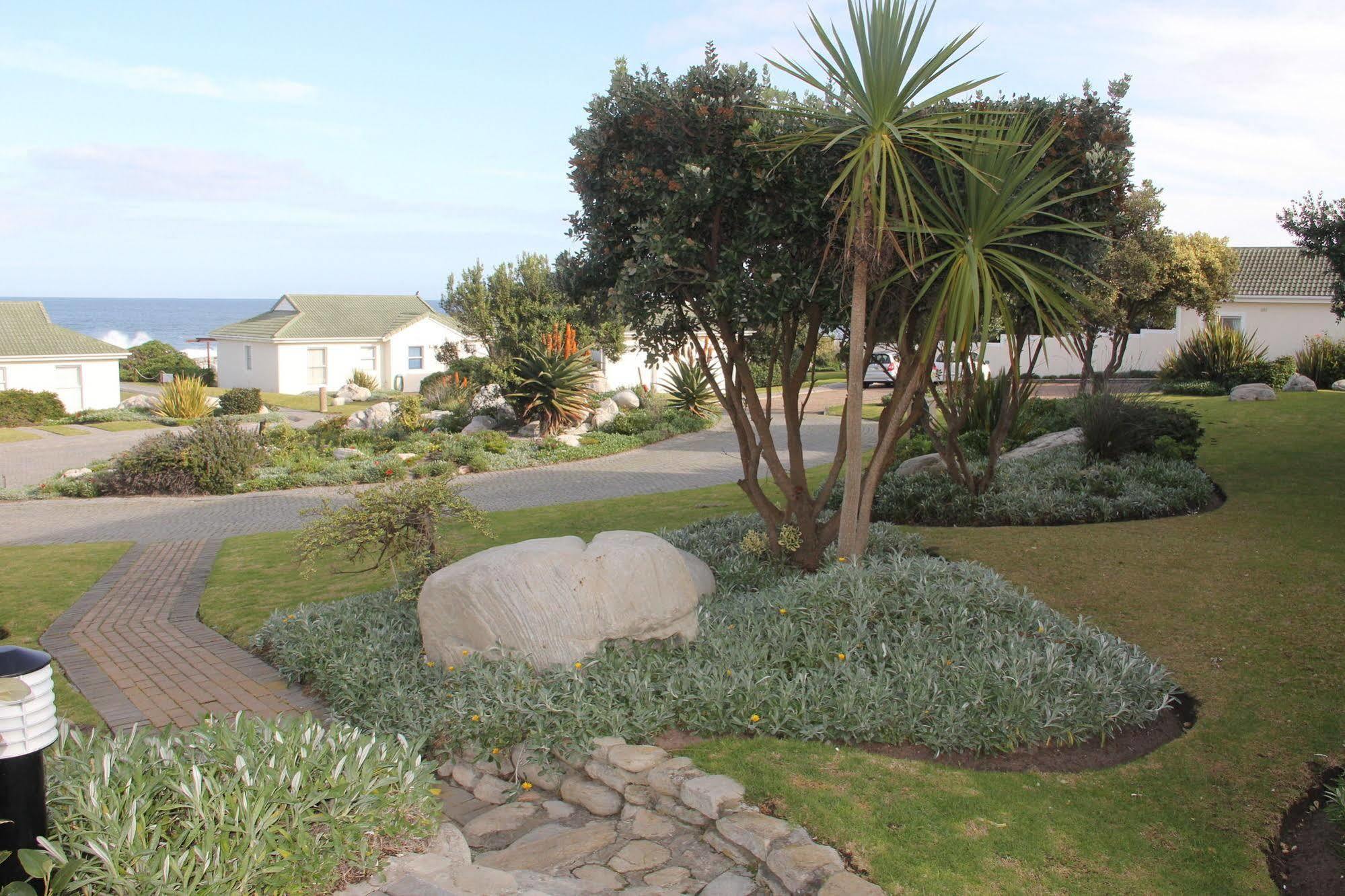 The Potting Shed Self Catering Apartman Hermanus Kültér fotó
