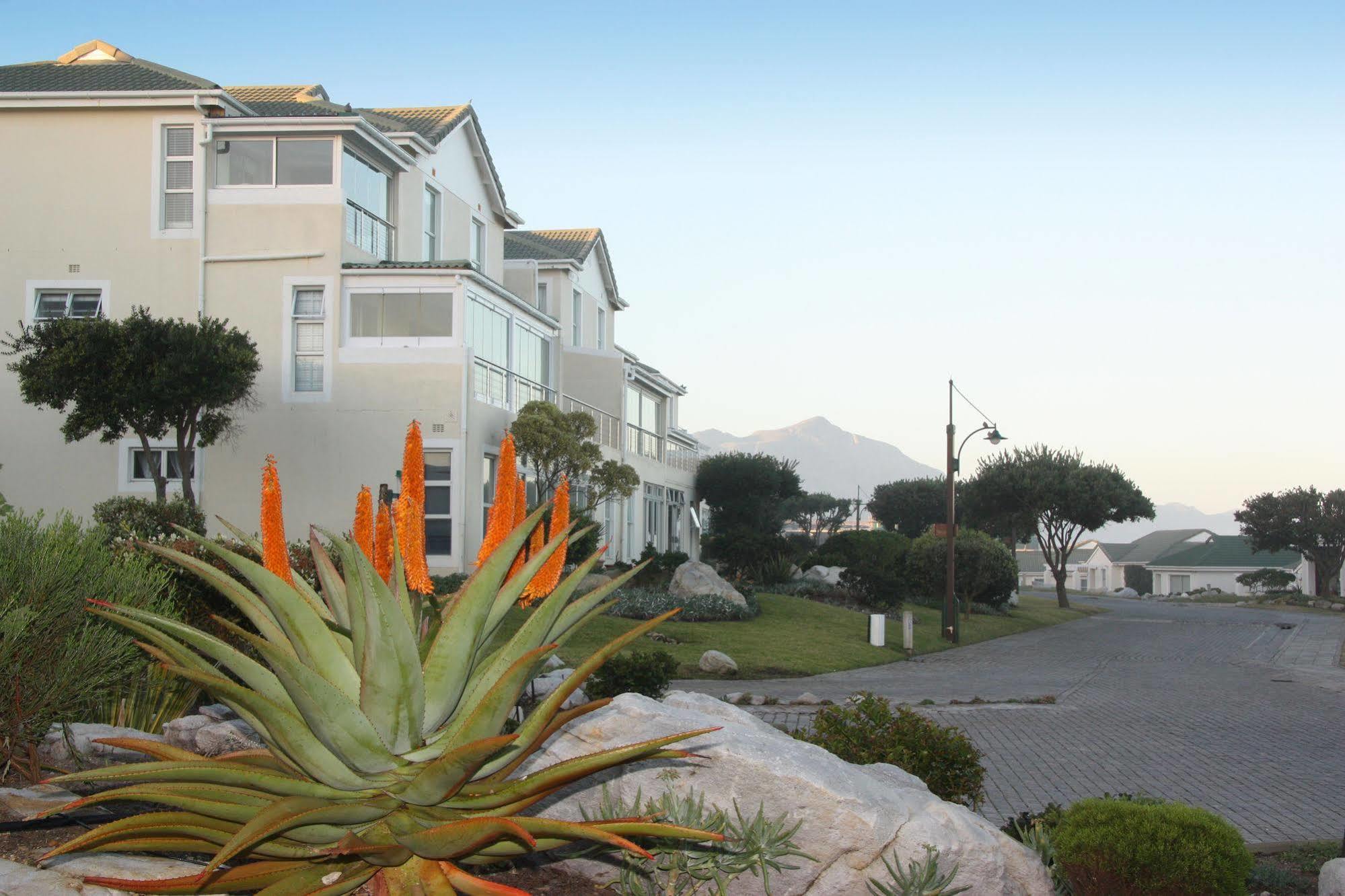 The Potting Shed Self Catering Apartman Hermanus Kültér fotó